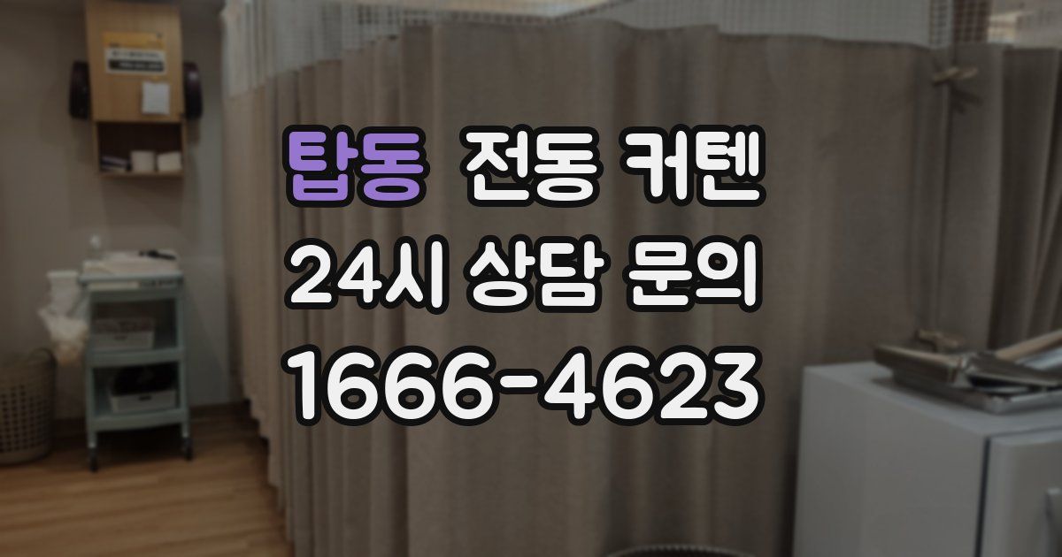 탑동 전동 커텐