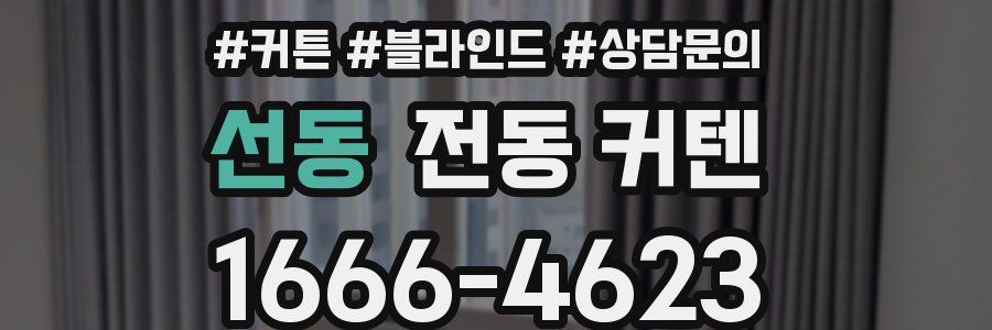 선동 전동 커텐