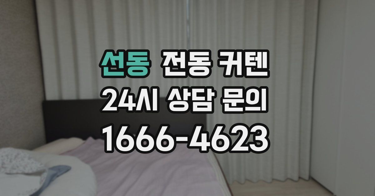 선동 전동 커텐