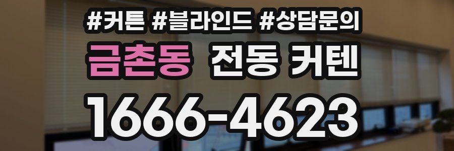 금촌동 전동 커텐