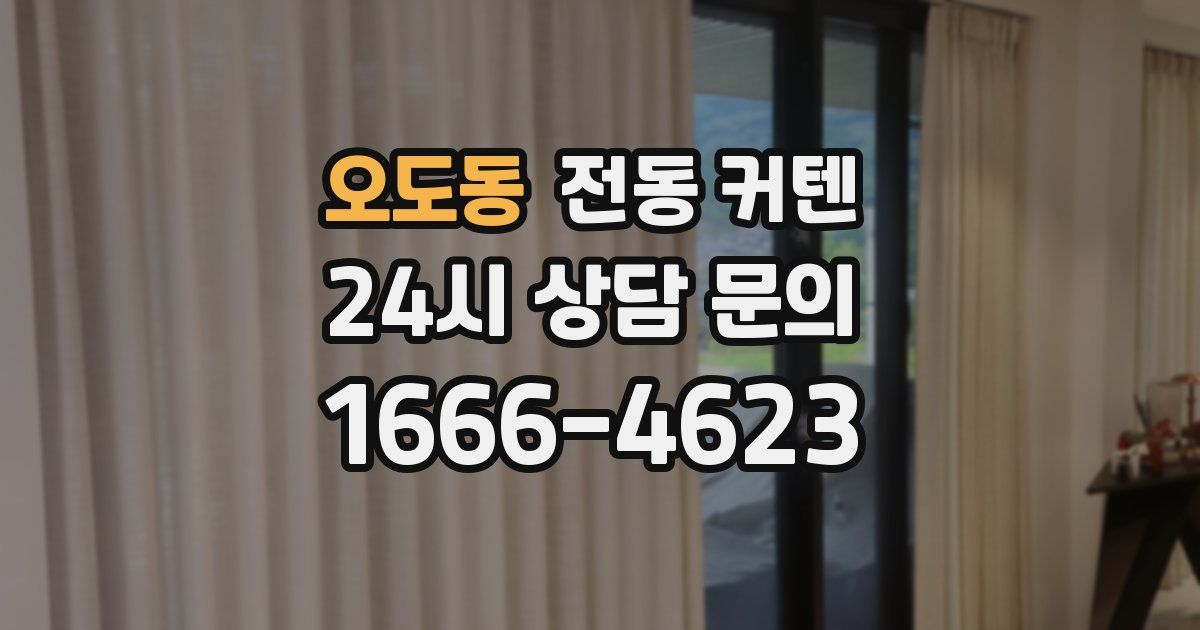 오도동 전동 커텐