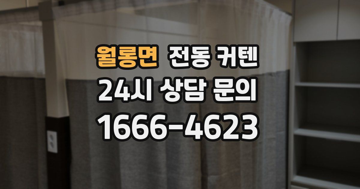월롱면 전동 커텐