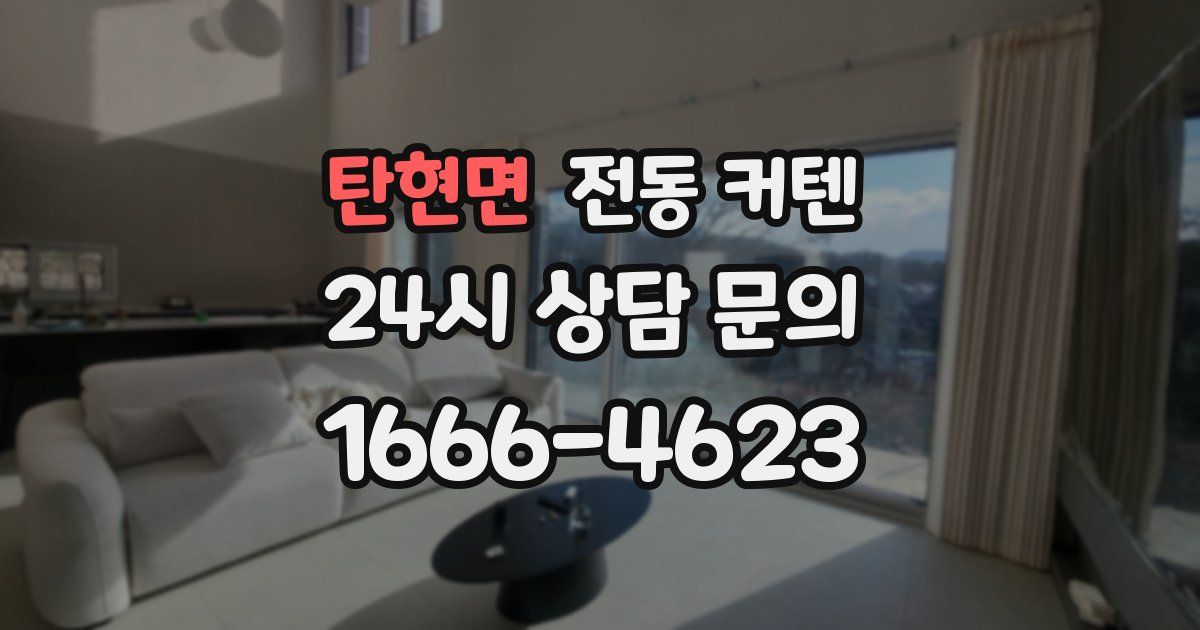 탄현면 전동 커텐