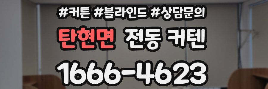 탄현면 전동 커텐