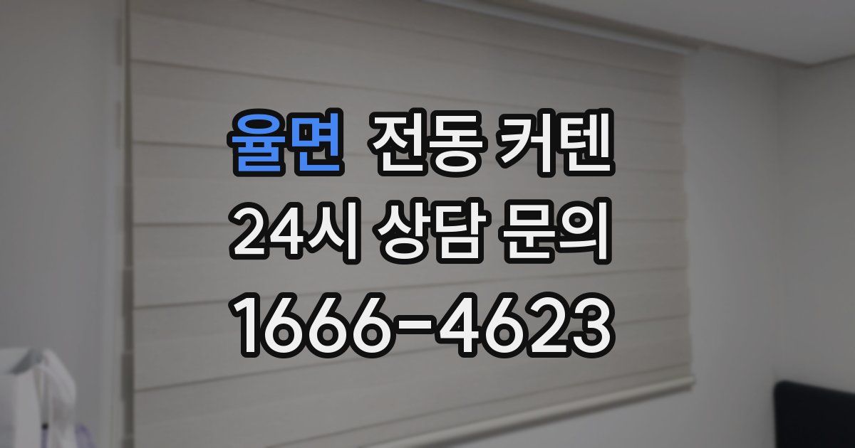 율면 전동 커텐