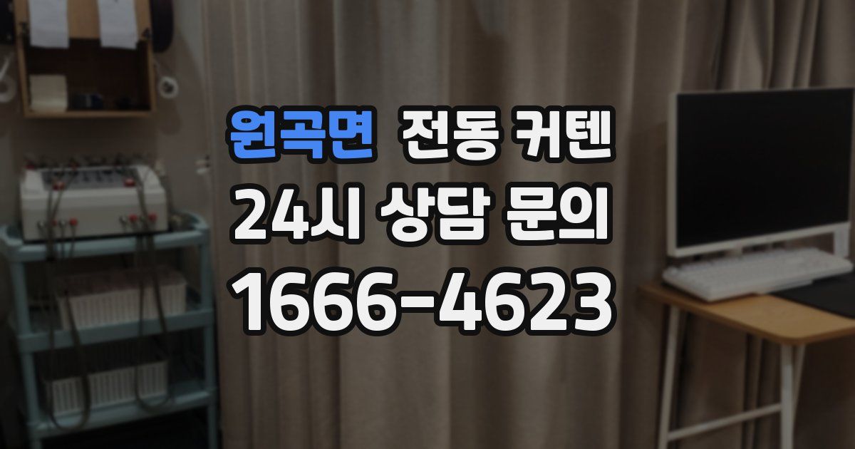 원곡면 전동 커텐