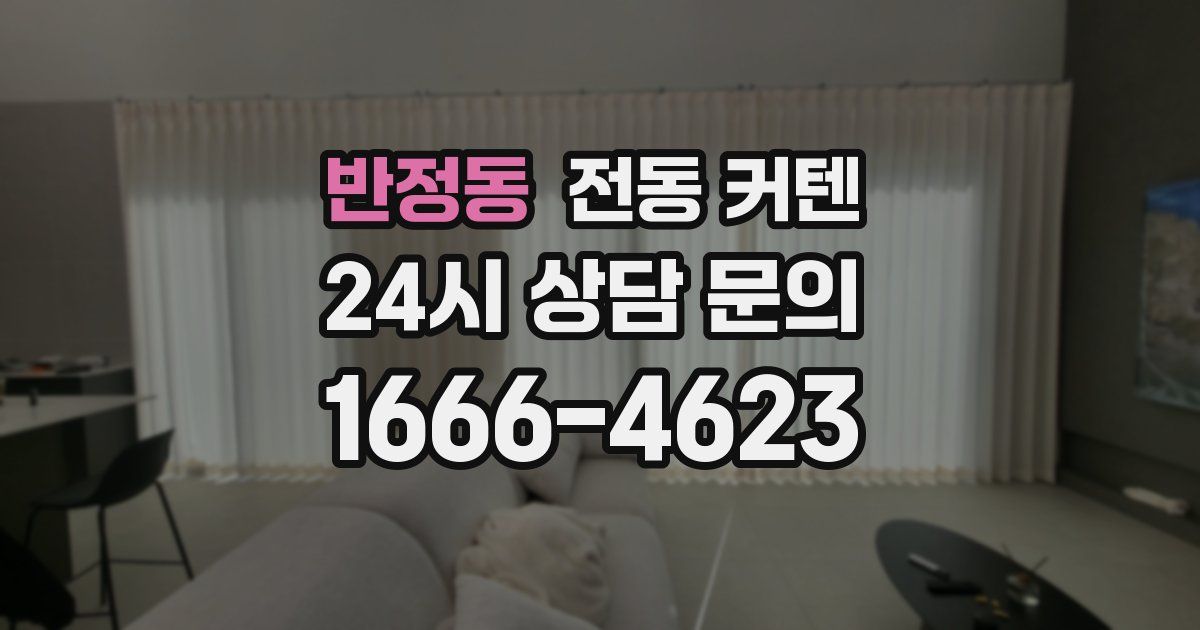 반정동 전동 커텐