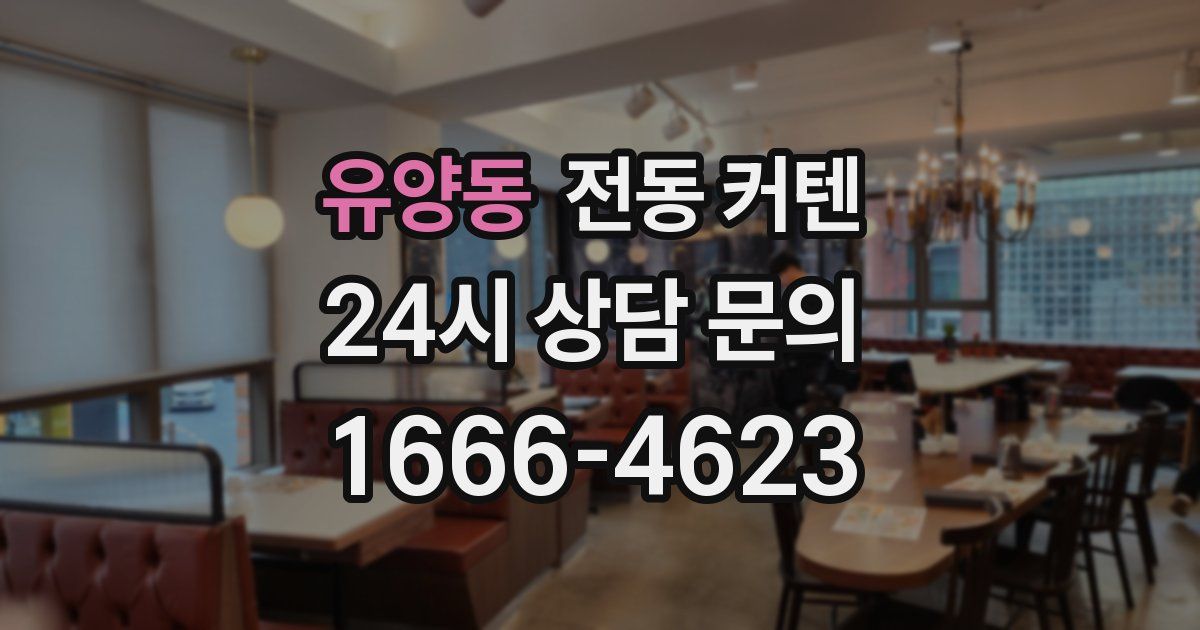 유양동 전동 커텐