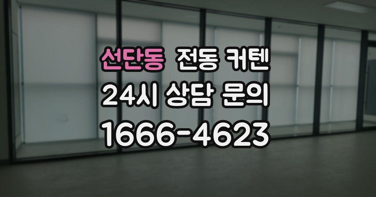 선단동 전동 커텐