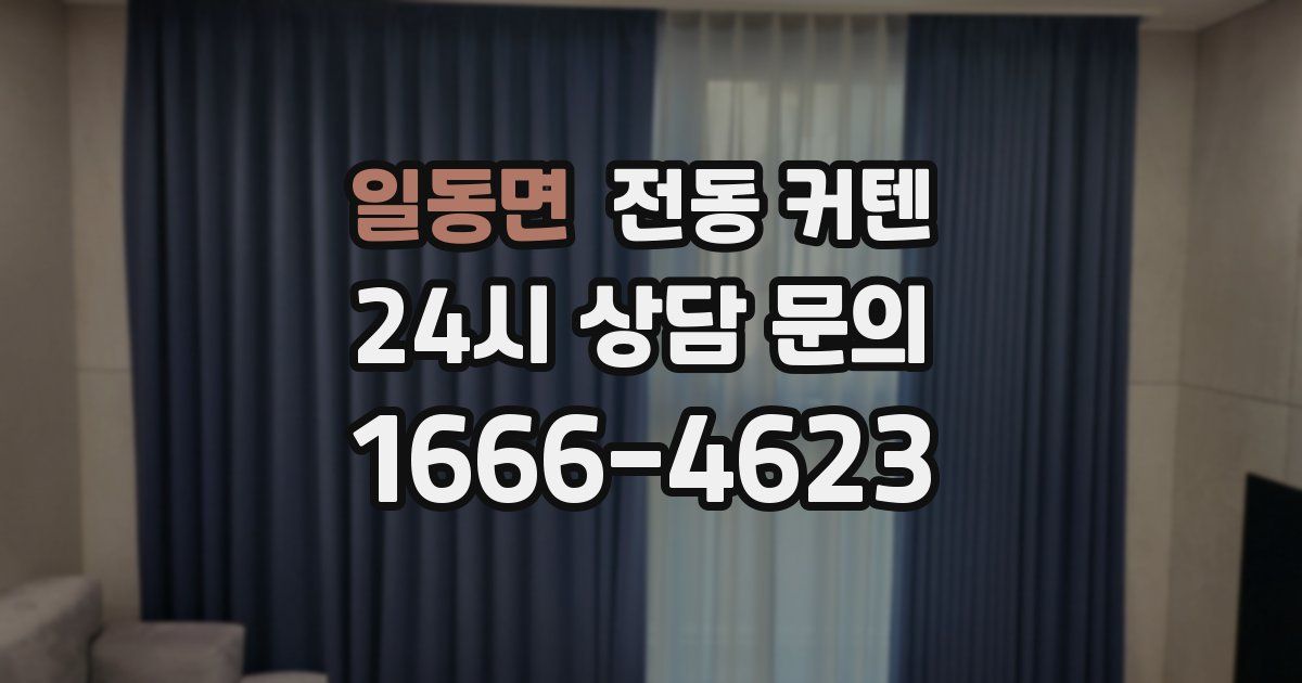 일동면 전동 커텐