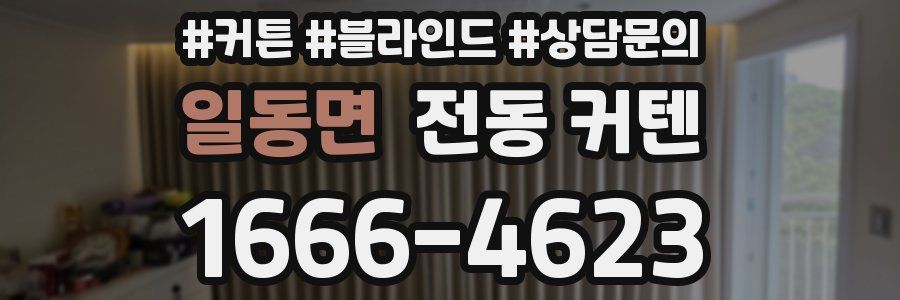 일동면 전동 커텐