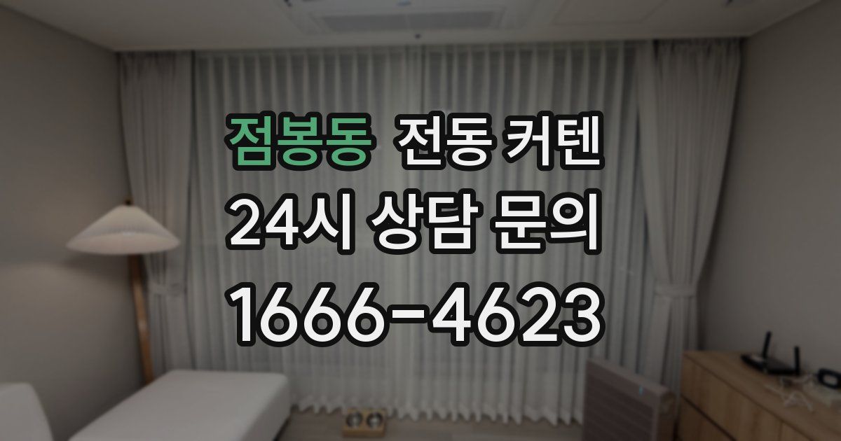 점봉동 전동 커텐
