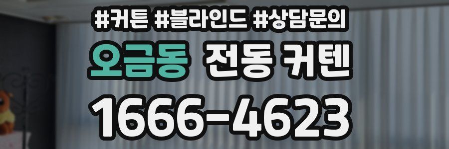 오금동 전동 커텐