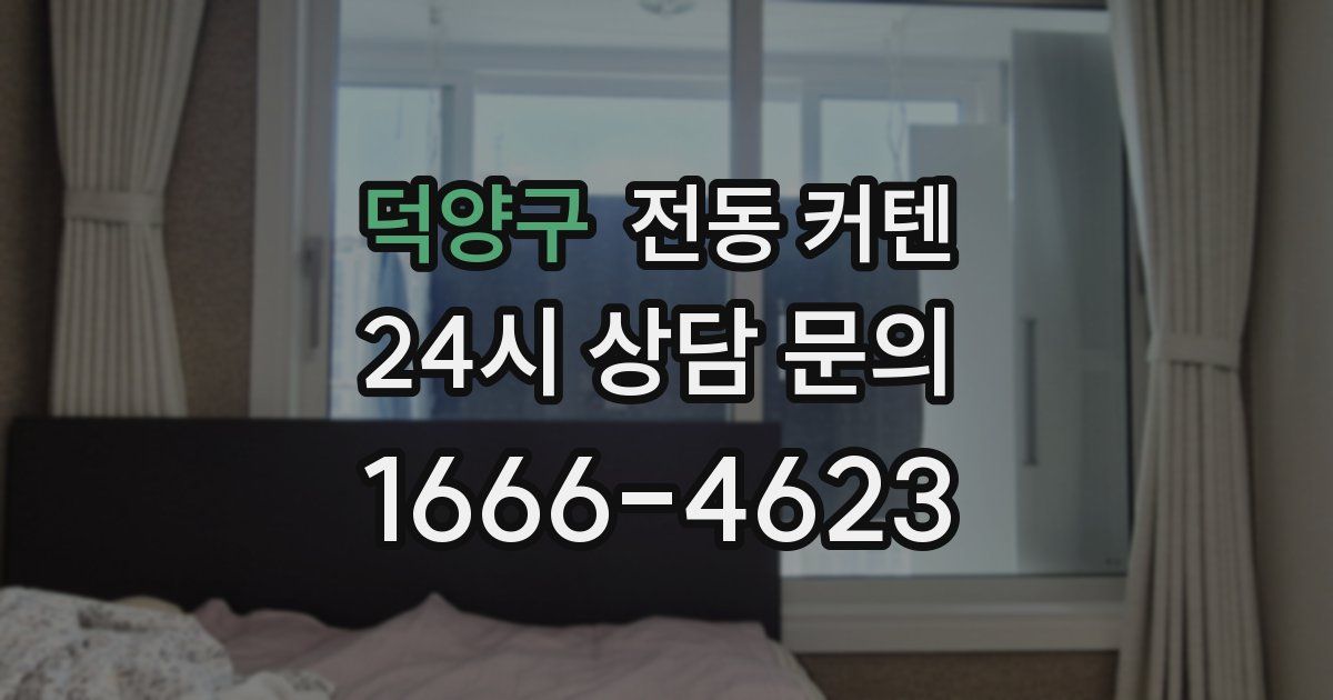 덕양구 전동 커텐
