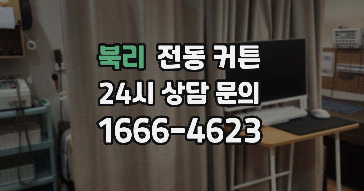 북리 전동 커튼