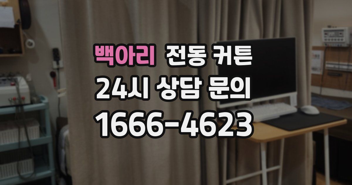 백아리 전동 커튼