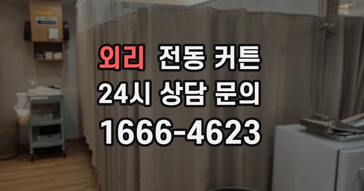 외리 전동 커튼