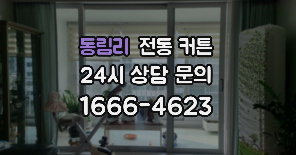 동림리 전동 커튼