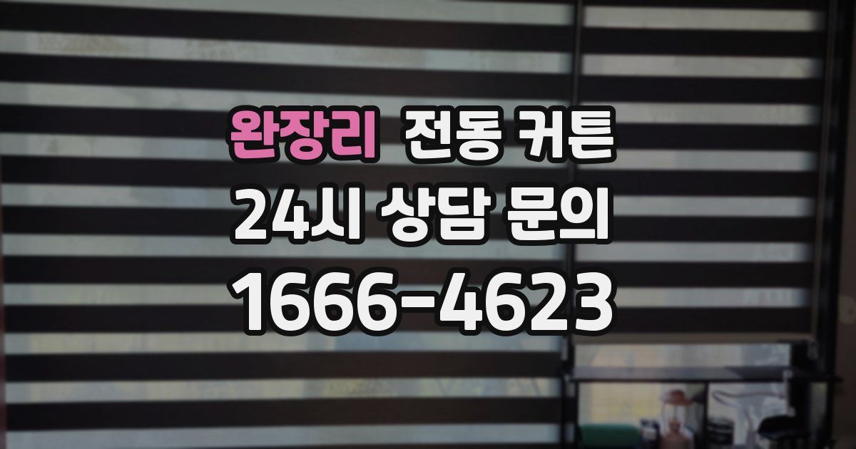 완장리 전동 커튼