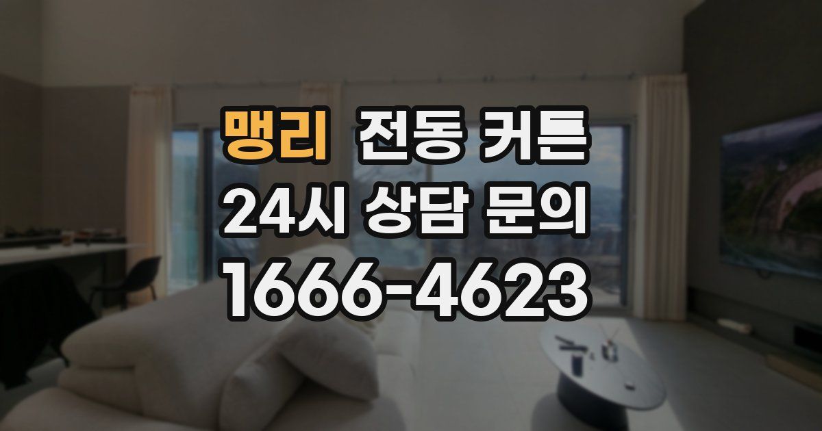 맹리 전동 커튼