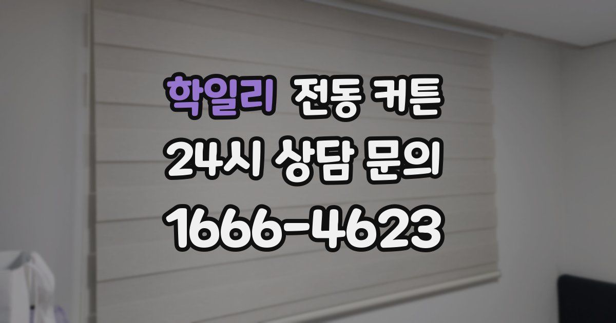 학일리 전동 커튼