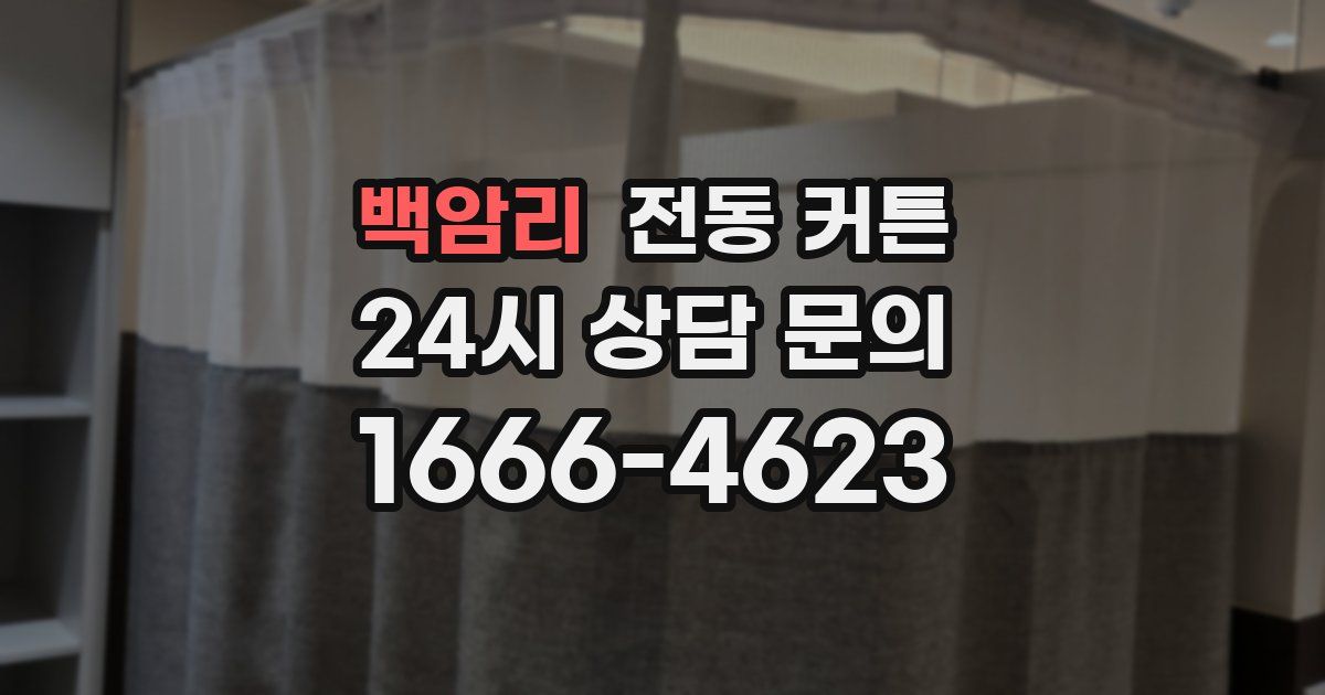 백암리 전동 커튼
