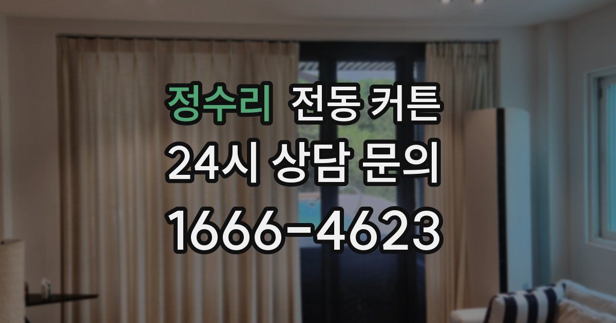 정수리 전동 커튼