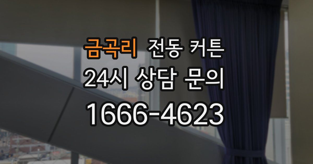 금곡리 전동 커튼