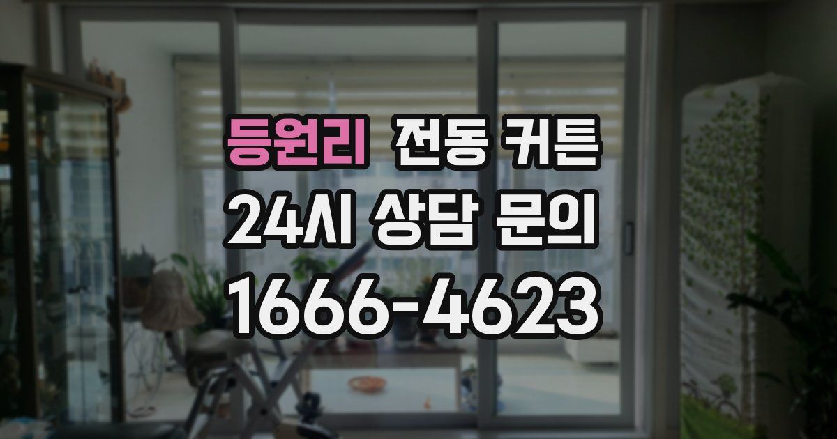 등원리 전동 커튼