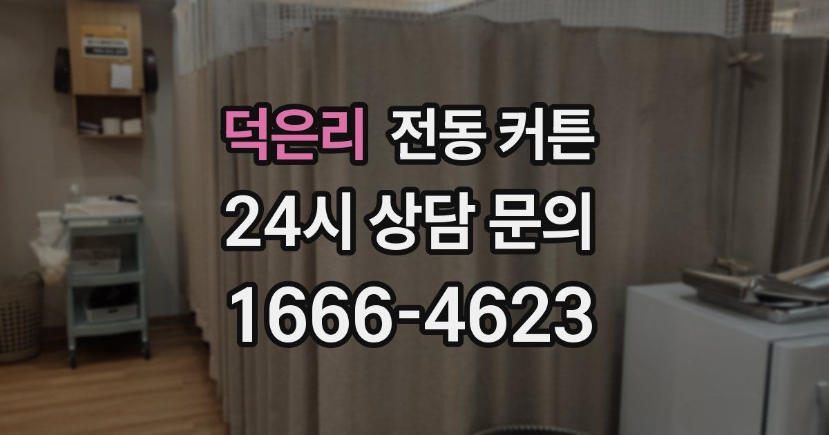 덕은리 전동 커튼