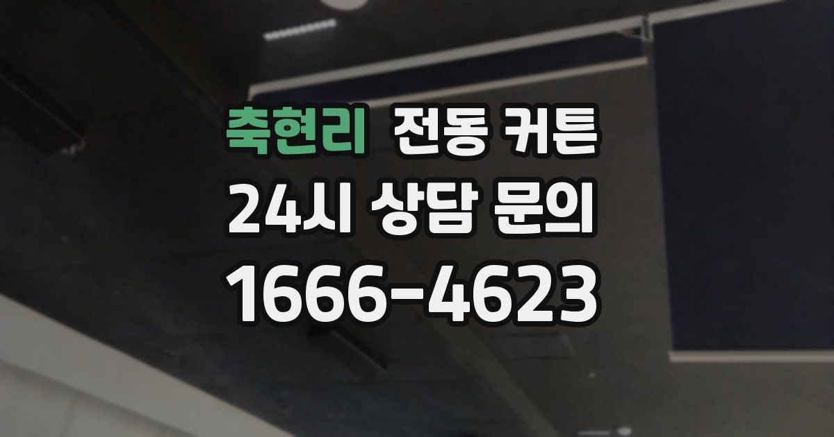 축현리 전동 커튼