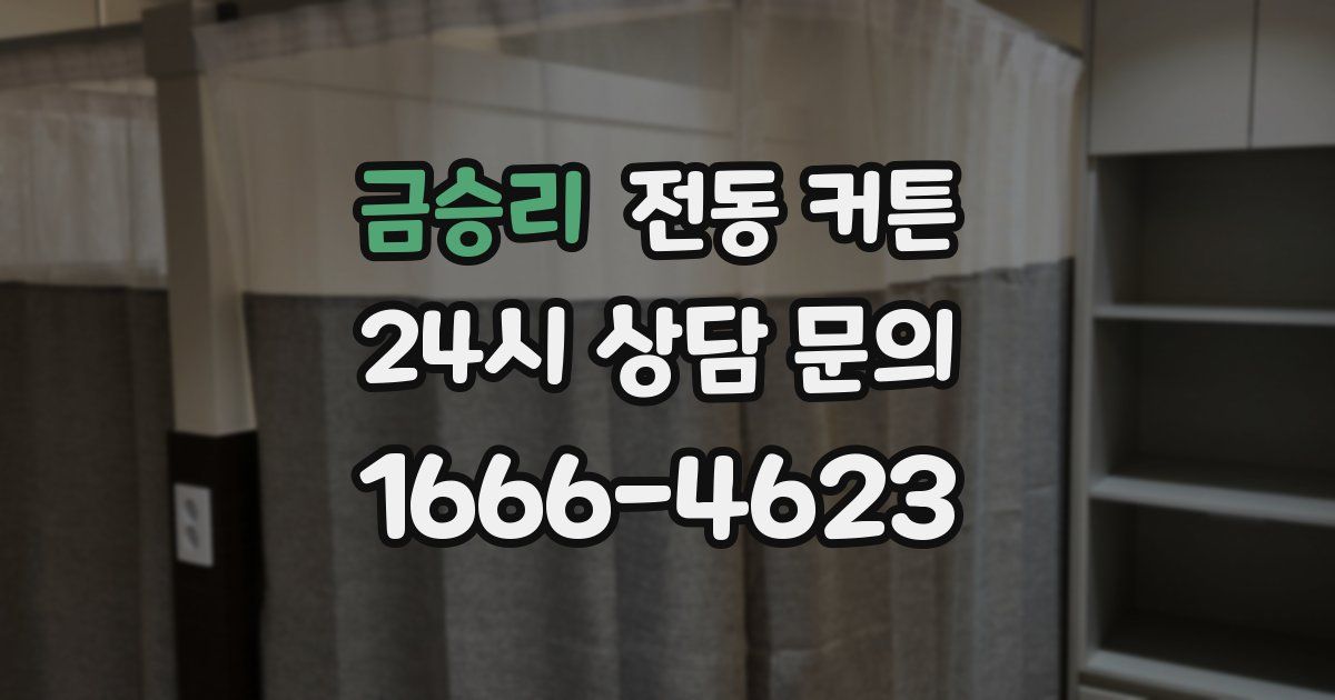금승리 전동 커튼