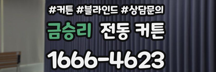 금승리 전동 커튼