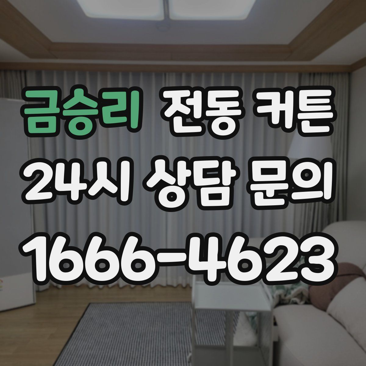 금승리 전동 커튼