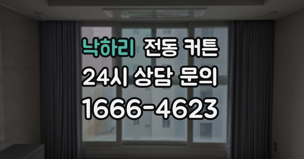 낙하리 전동 커튼