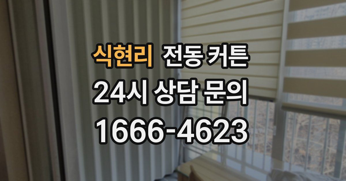 식현리 전동 커튼
