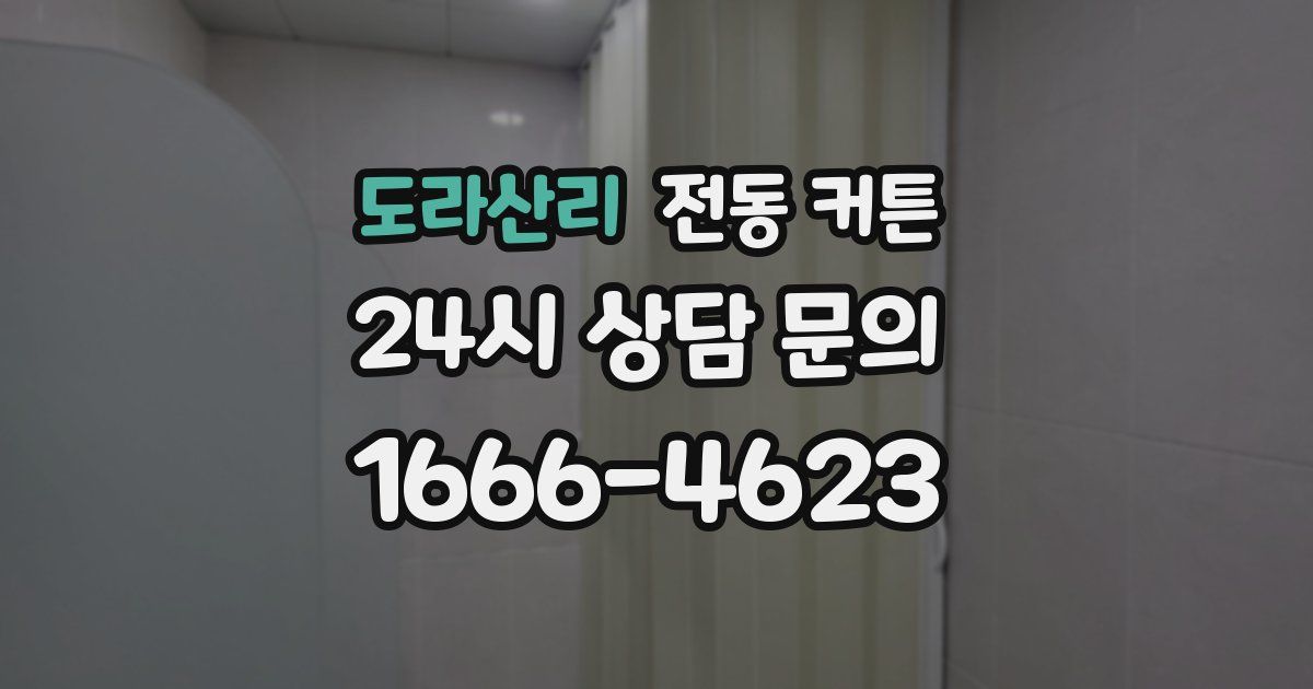 도라산리 전동 커튼