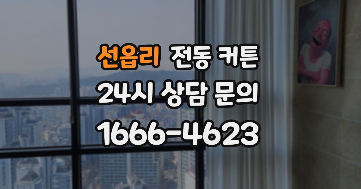 선읍리 전동 커튼