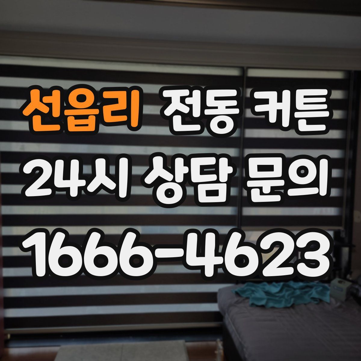 선읍리 전동 커튼