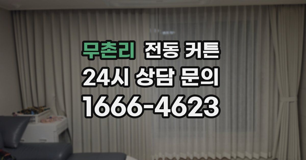 무촌리 전동 커튼