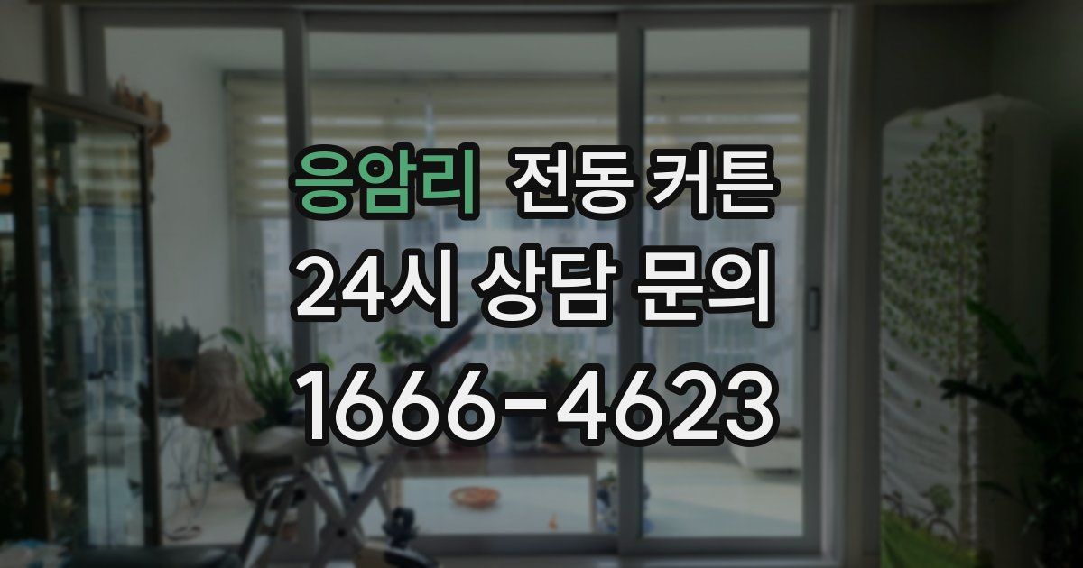 응암리 전동 커튼