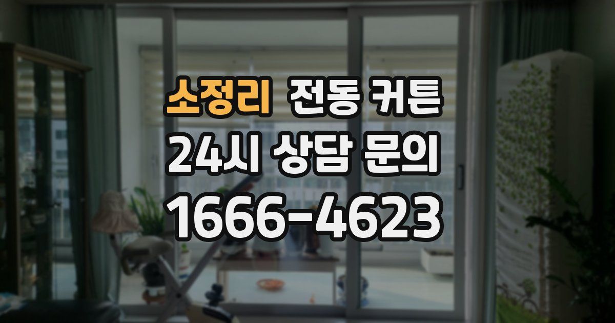소정리 전동 커튼