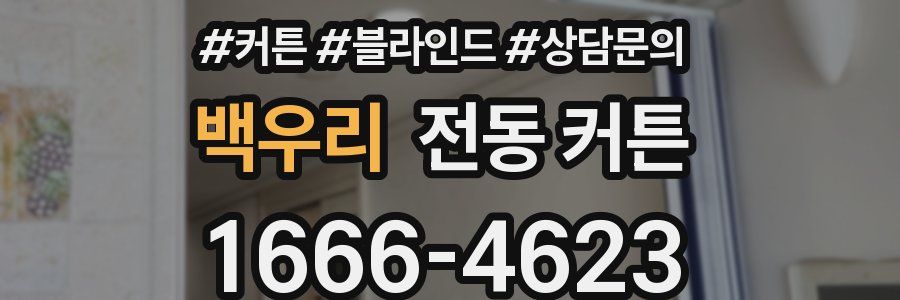 백우리 전동 커튼