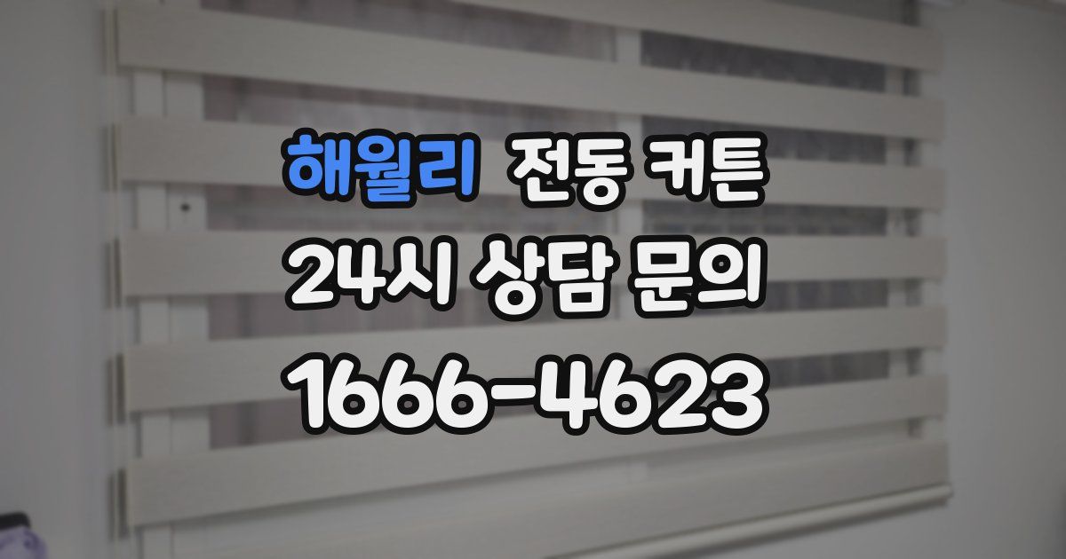 해월리 전동 커튼