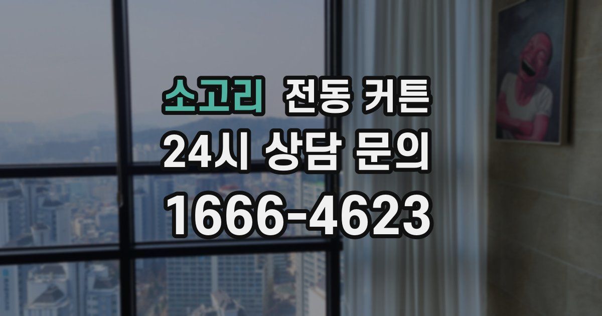 소고리 전동 커튼