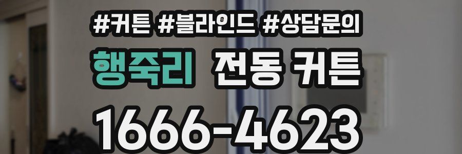 행죽리 전동 커튼