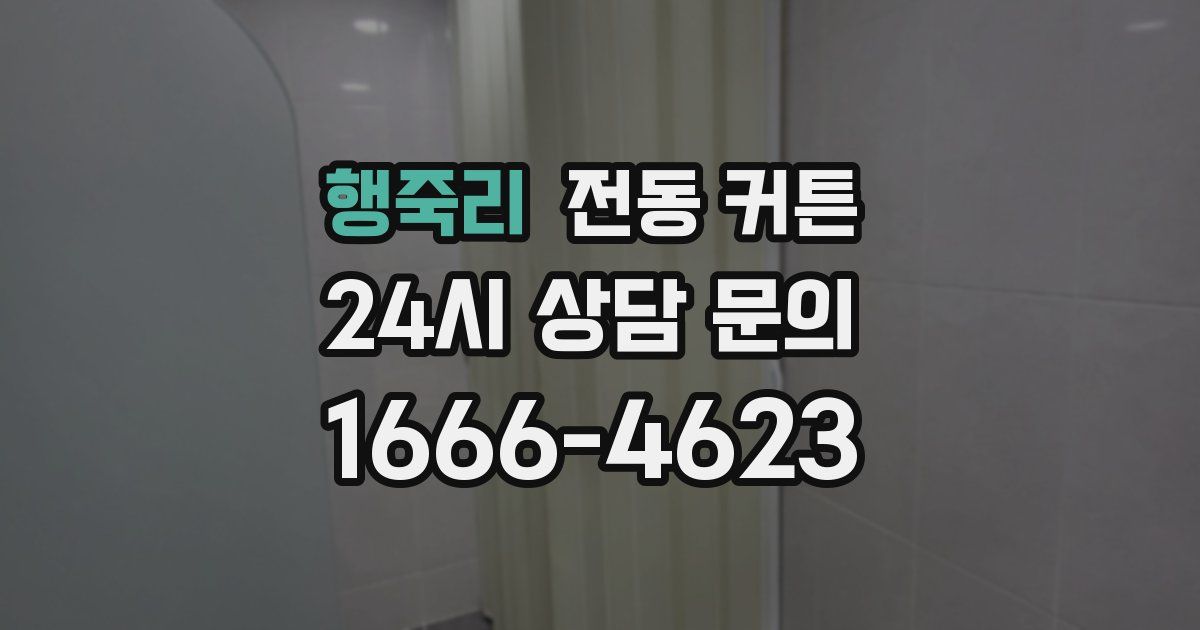 행죽리 전동 커튼