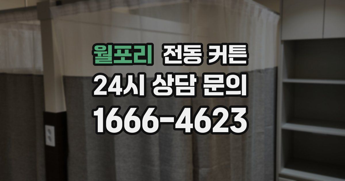 월포리 전동 커튼