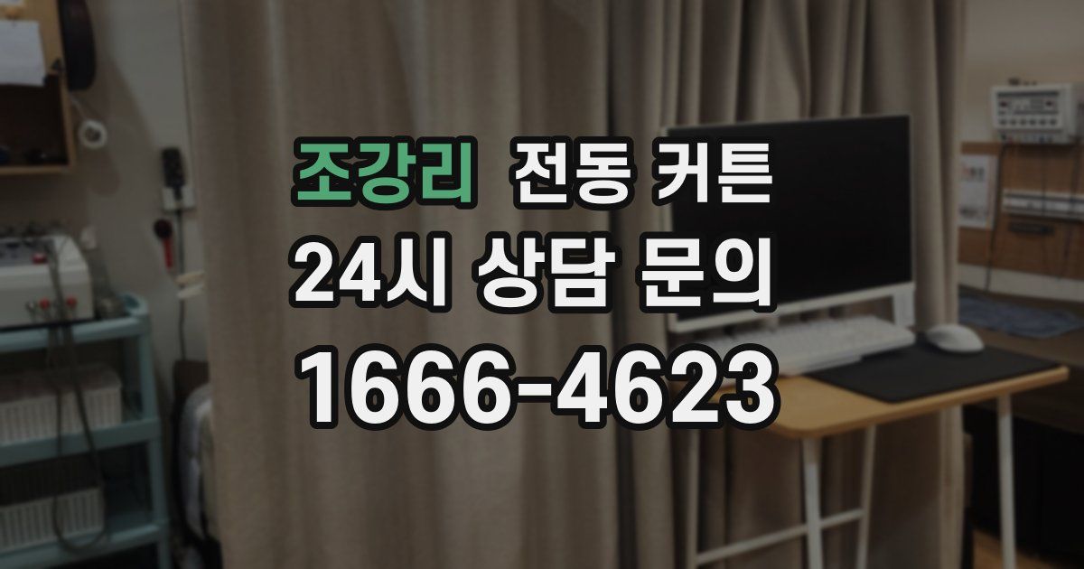 조강리 전동 커튼