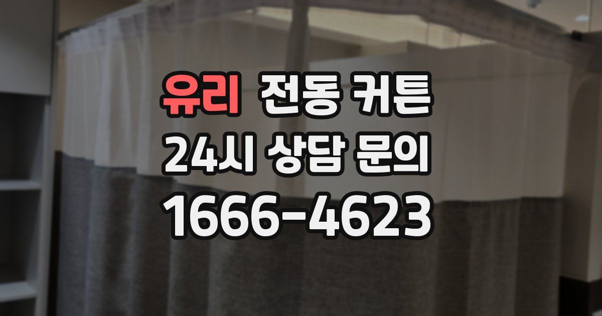 유리 전동 커튼